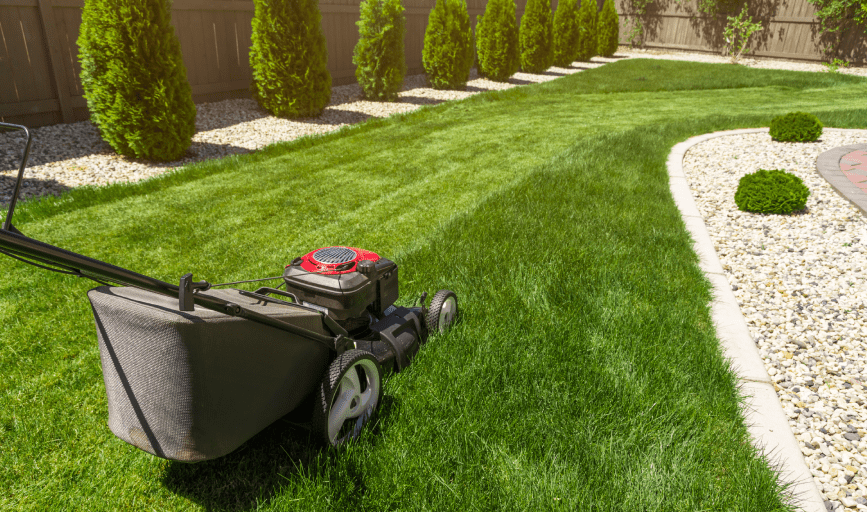 LAWN MOWING